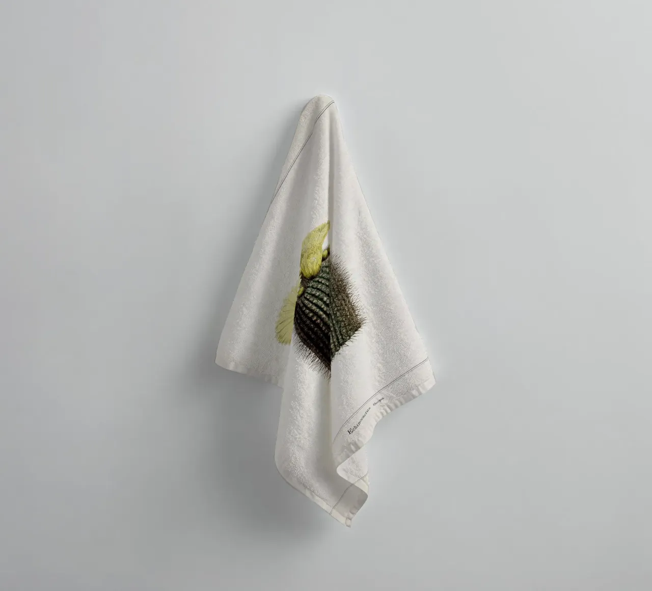 Vintage Curtis 2 Echinocactus Scopa asciugamano da bagno da Vintage Print Collection