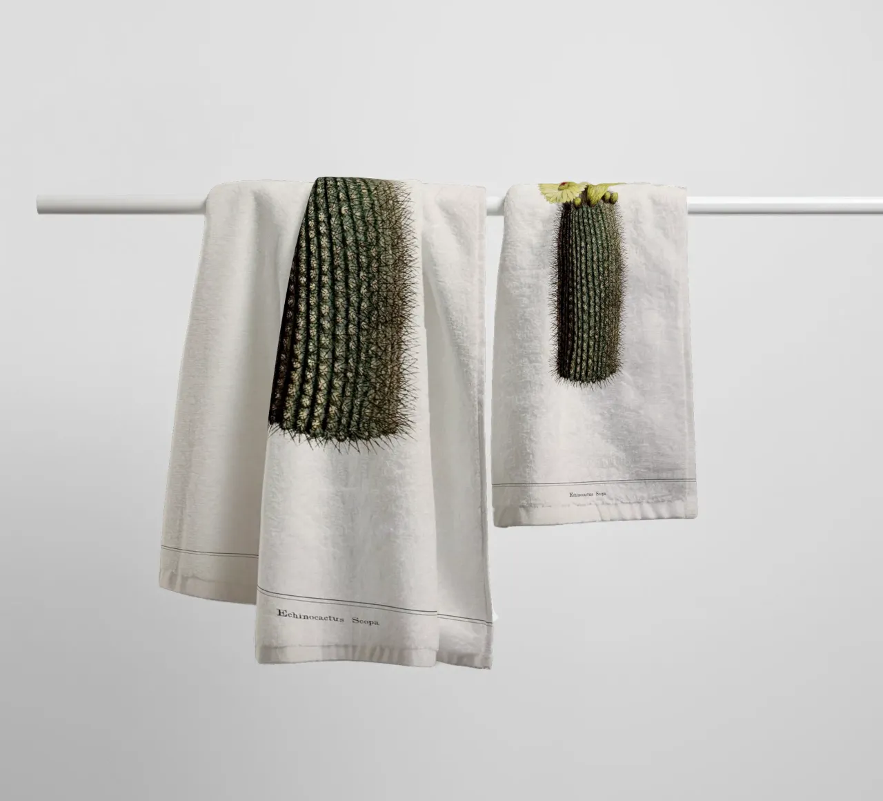Vintage Curtis 2 Echinocactus Scopa asciugamano da bagno da Vintage Print Collection