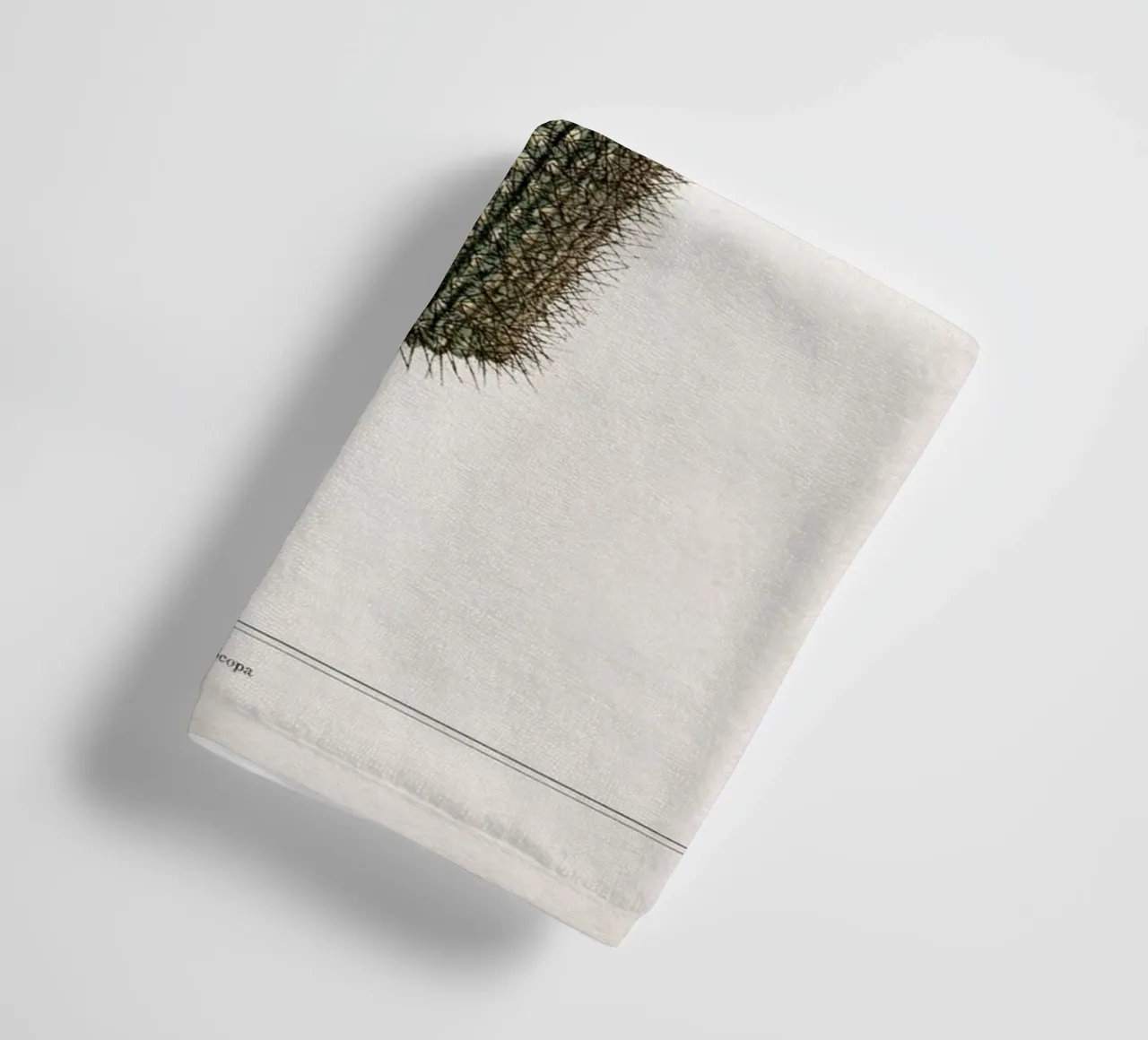 Vintage Curtis 2 Echinocactus Scopa asciugamano da bagno da Vintage Print Collection