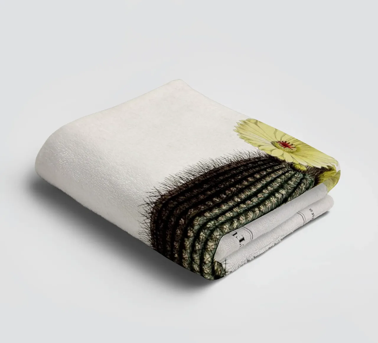 Vintage Curtis 2 Echinocactus Scopa asciugamano da bagno da Vintage Print Collection
