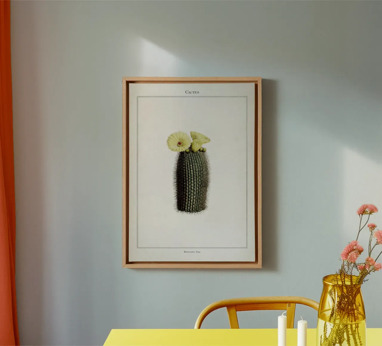 Vintage Curtis 2 Echinocactus Scopa canvas by Vintage Print Collection