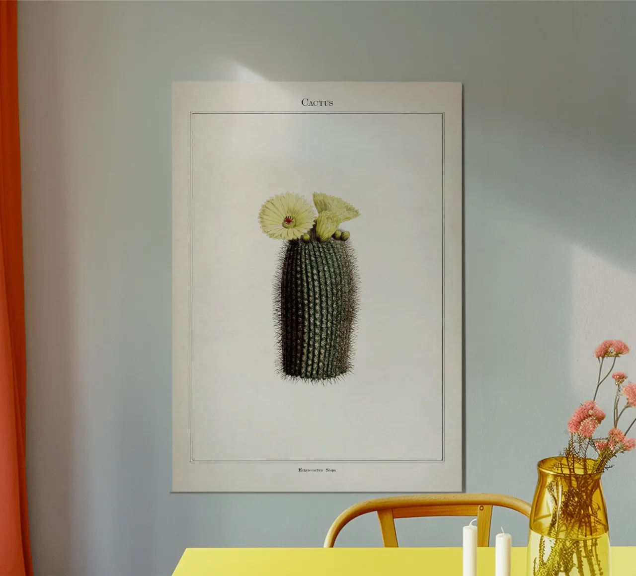 Vintage Curtis 2 Echinocactus Scopa carta hahnemühle da Vintage Print Collection