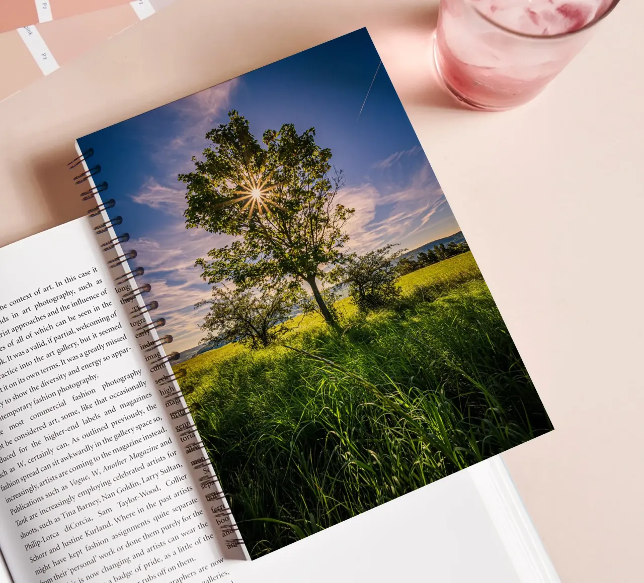 Sun star through a deciduous tree spiral notebook by Marcus Beckert | Fotografie