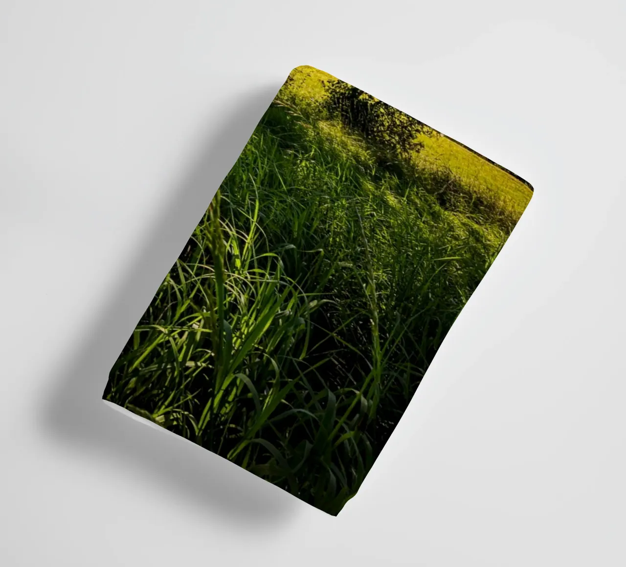 Sun star through a deciduous tree towel by Marcus Beckert | Fotografie