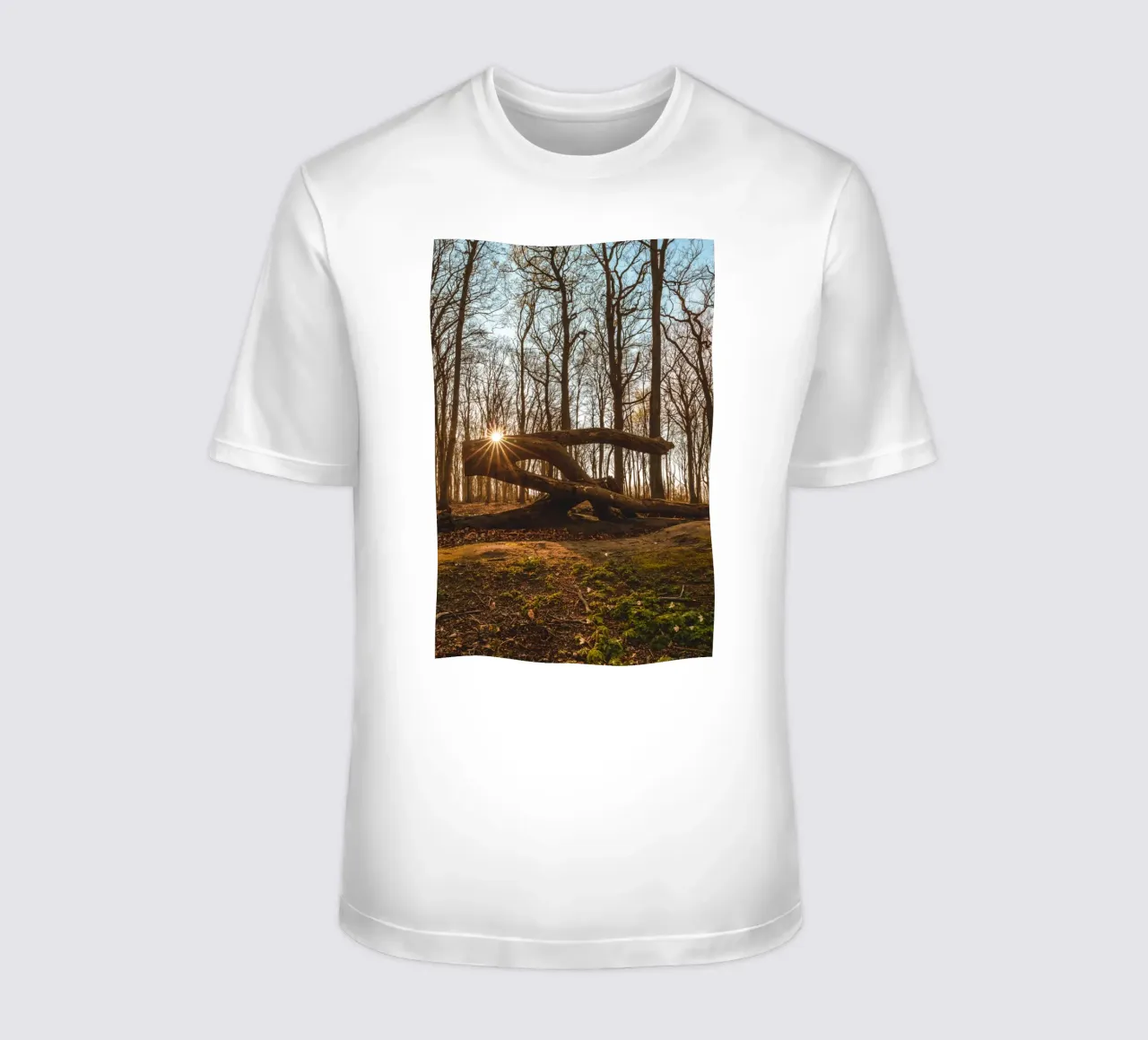 Foresta fantasma sul Darß t-shirt da Marcus Beckert | Fotografie