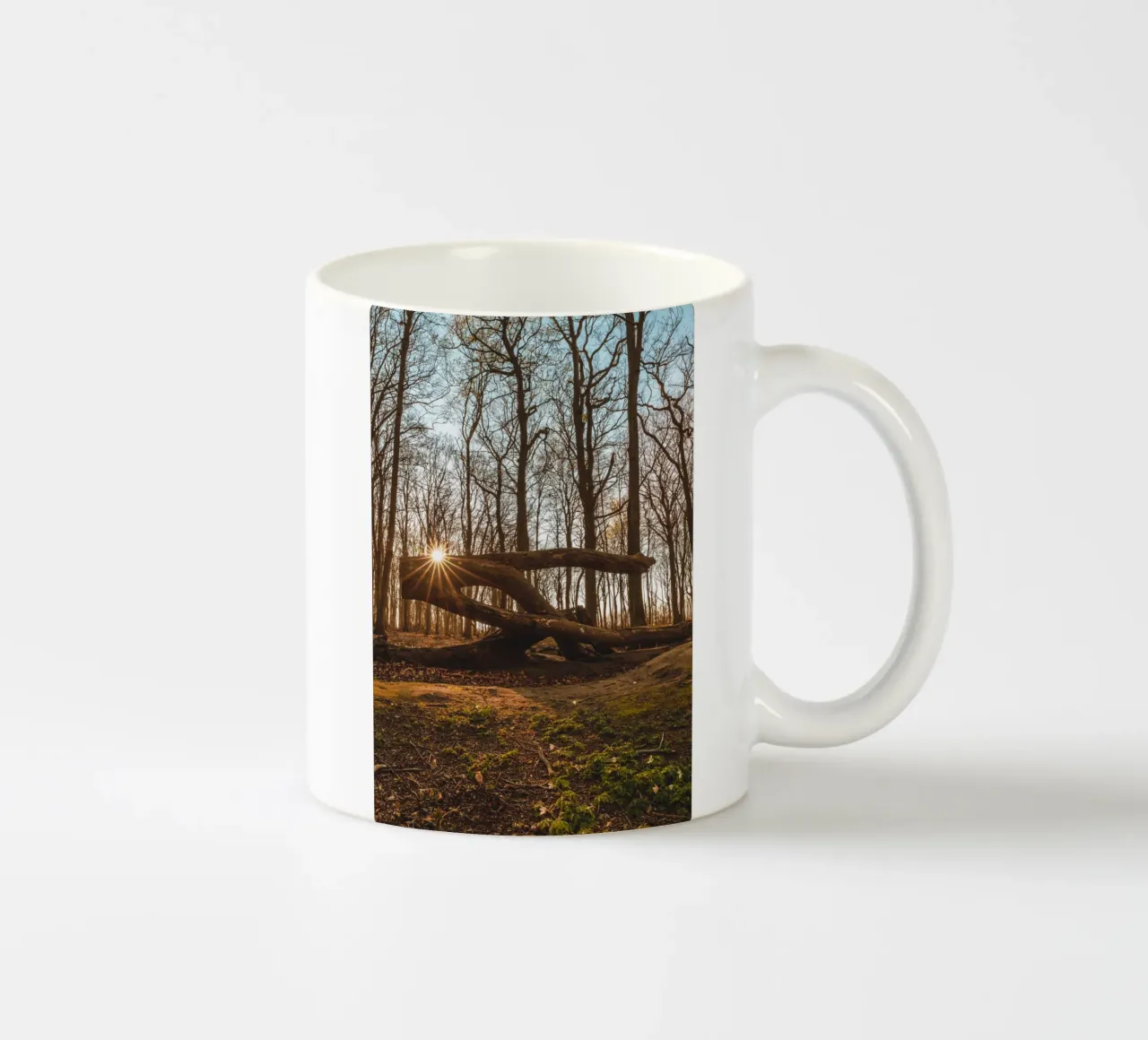 Foresta fantasma sul Darß tazza in ceramica da Marcus Beckert | Fotografie