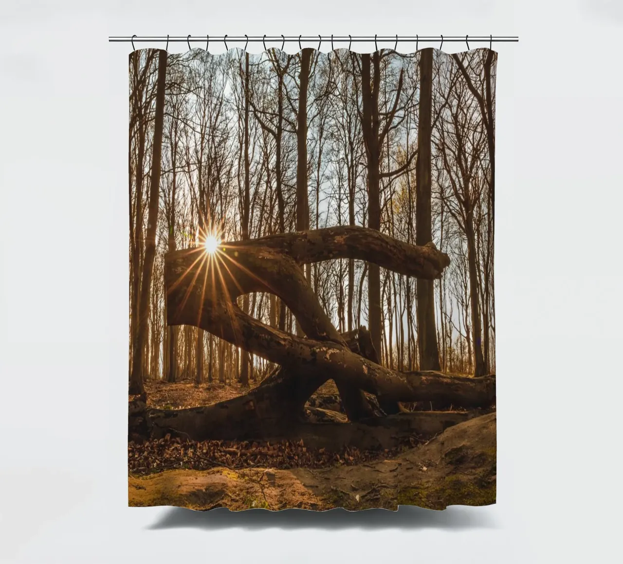 Ghost forest on the Darß shower curtain by Marcus Beckert | Fotografie