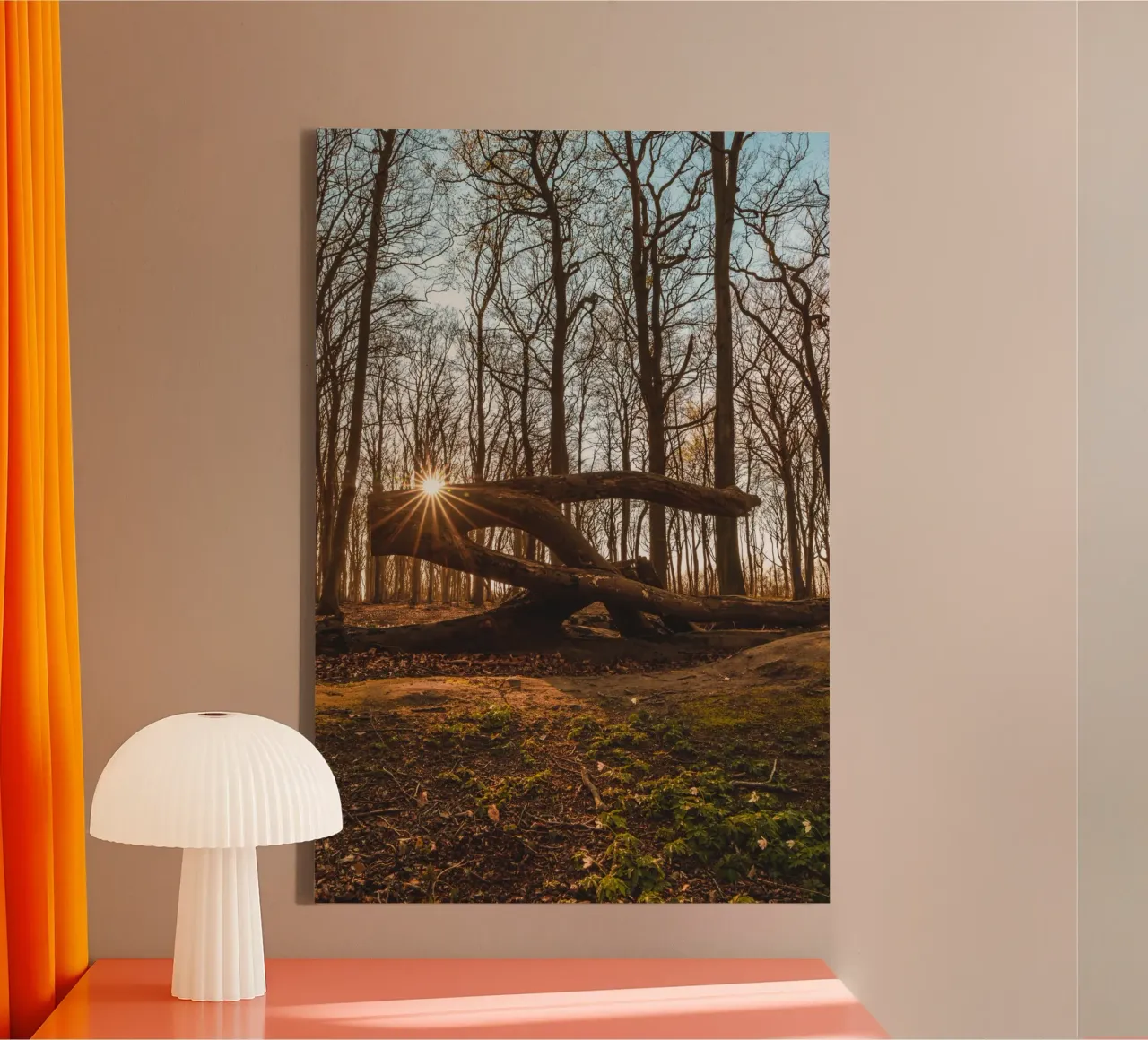Foresta fantasma sul Darß tela da Marcus Beckert | Fotografie
