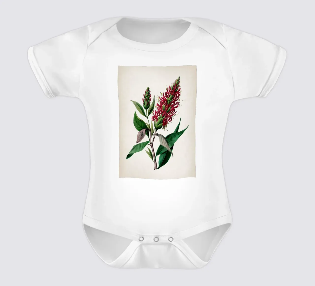 Vintage Denisse 2 Cardinalis Adhatoda body neonato maniche corte da Vintage Print Collection