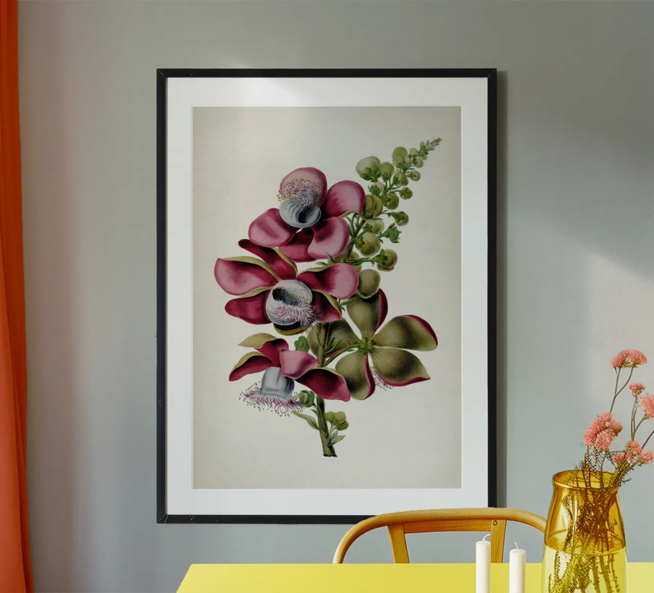 Vintage Denisse 2 Couroupita Guianensis poster con telaio in plastica da Vintage Print Collection