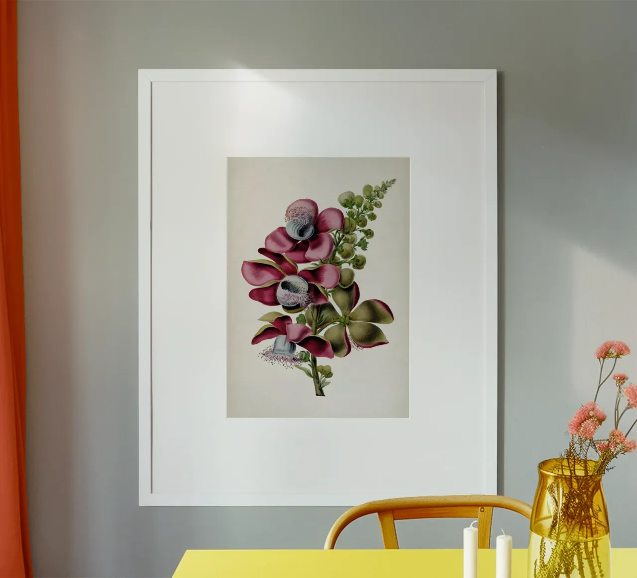 Vintage Denisse 2 Couroupita Guianensis poster con telaio in plastica da Vintage Print Collection