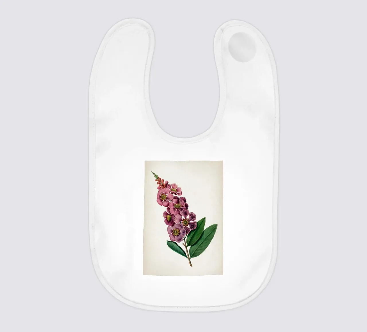 Vintage Denisse 2 Lagerstroemia Regina bavaglino da Vintage Print Collection