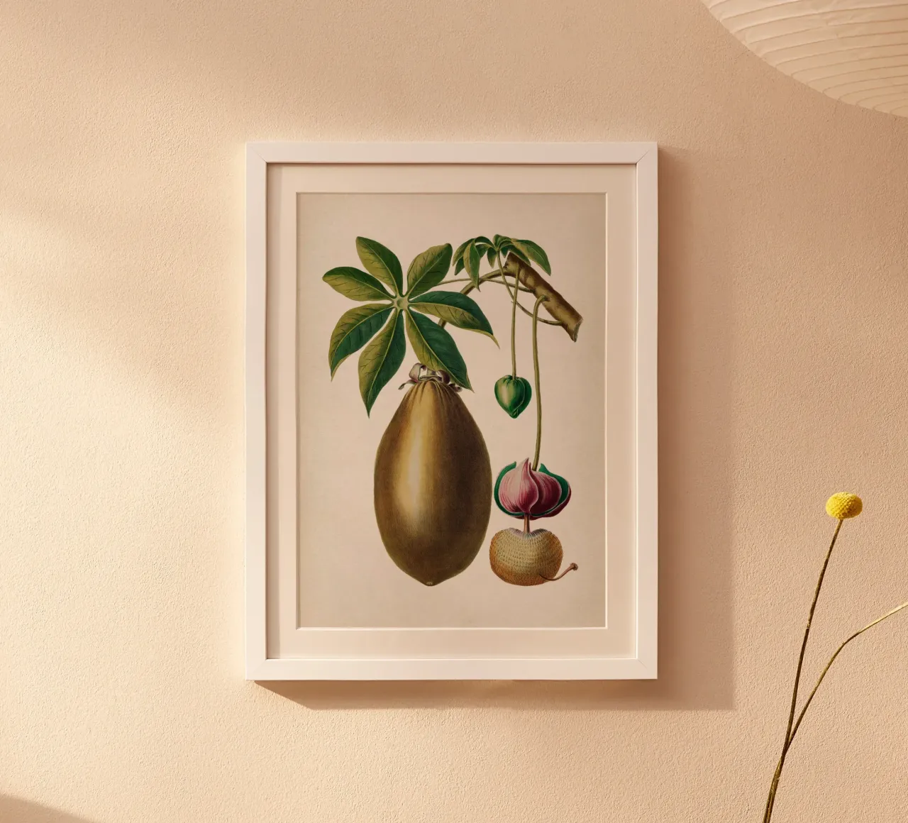Vintage Denisse 3 Adansonia Digitata poster con telaio in alluminio da Vintage Print Collection