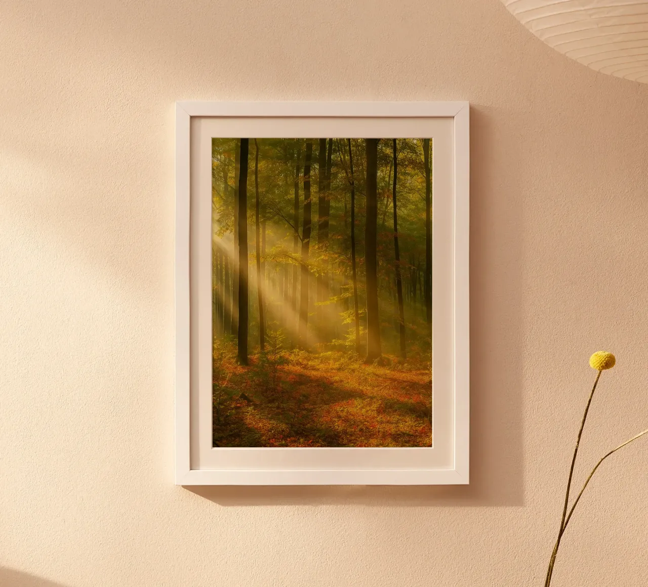fotografia retro di forrest view poster da viantishop