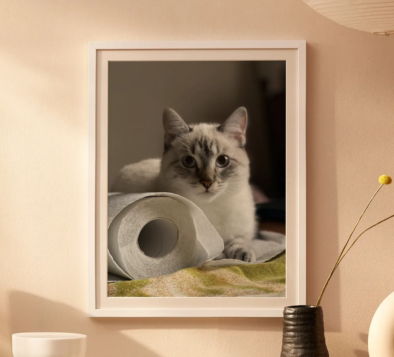 cat and toilet paper poster da lily