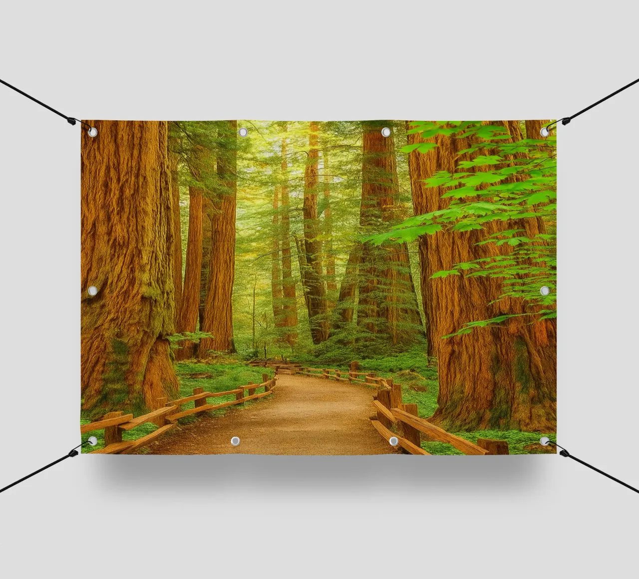 route dans la forêt vue rétro photographie bâche pvc de viantishop