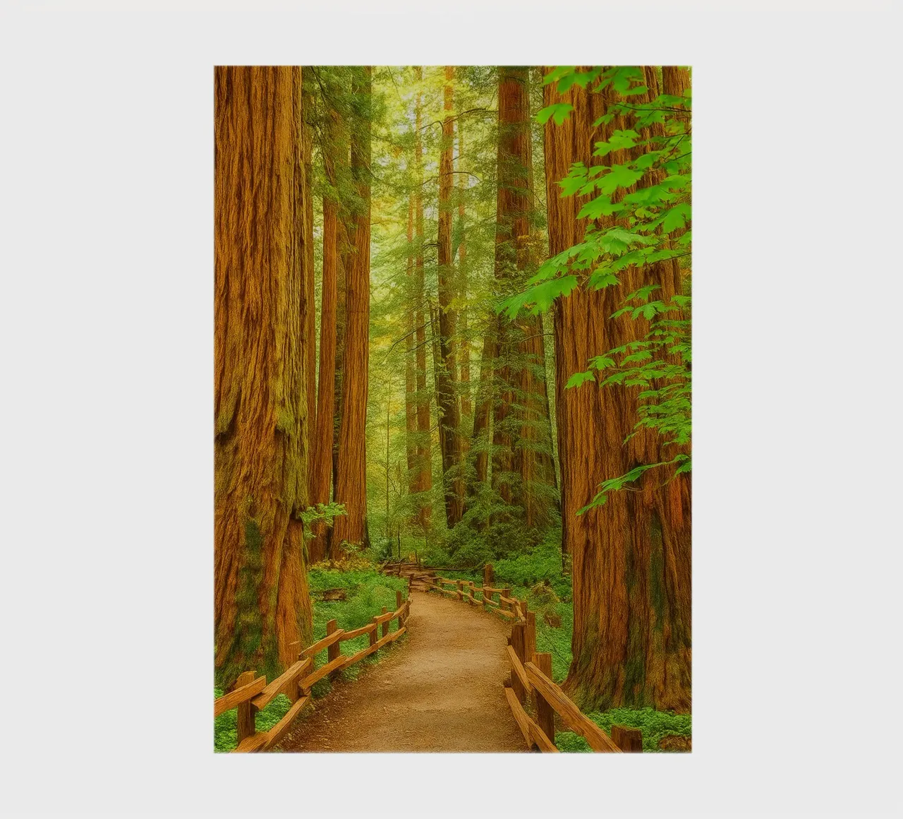 weg in het bos kijk retro fotografie notitieboek van viantishop