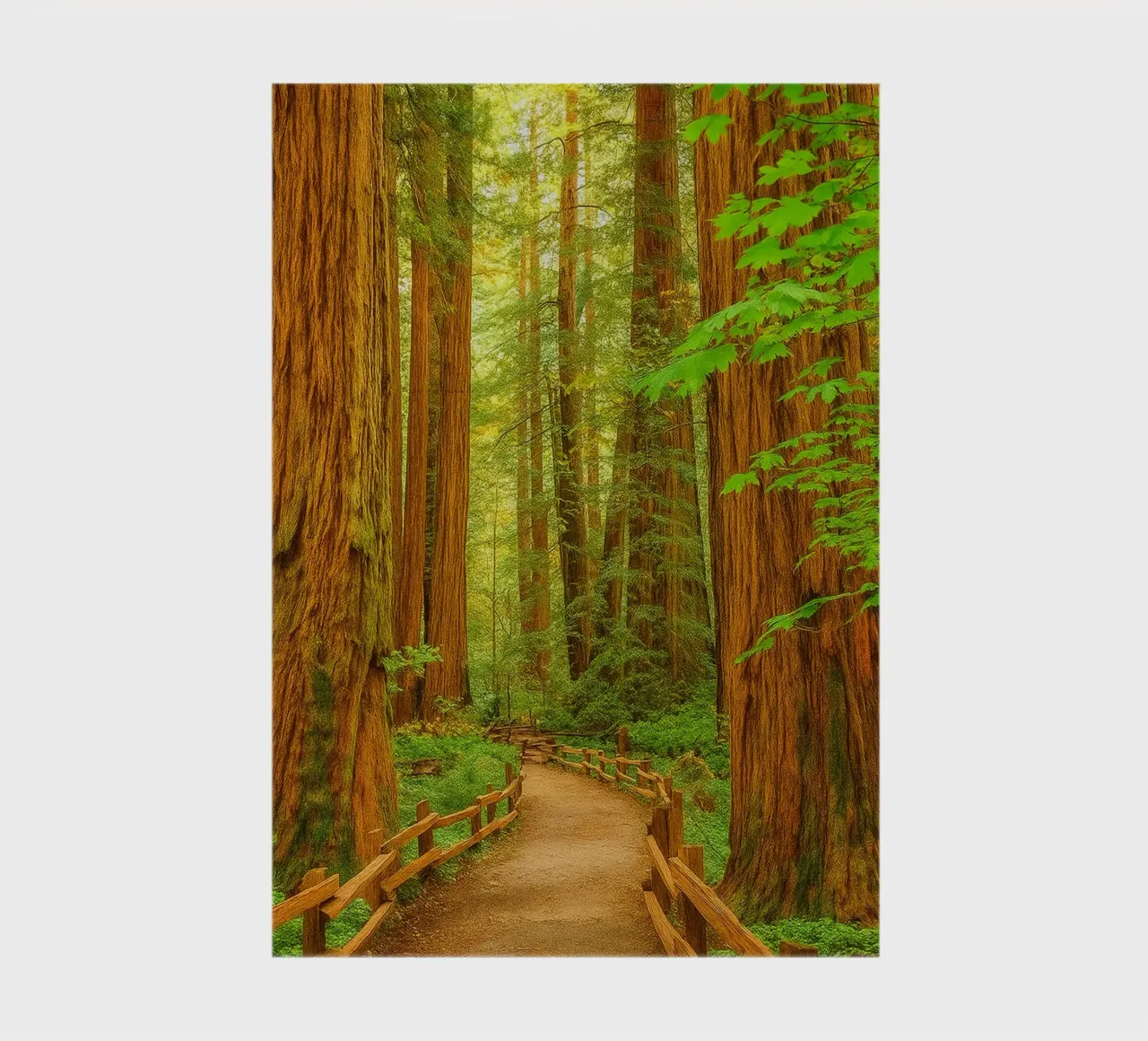 weg in het bos kijk retro fotografie notitieboek van viantishop