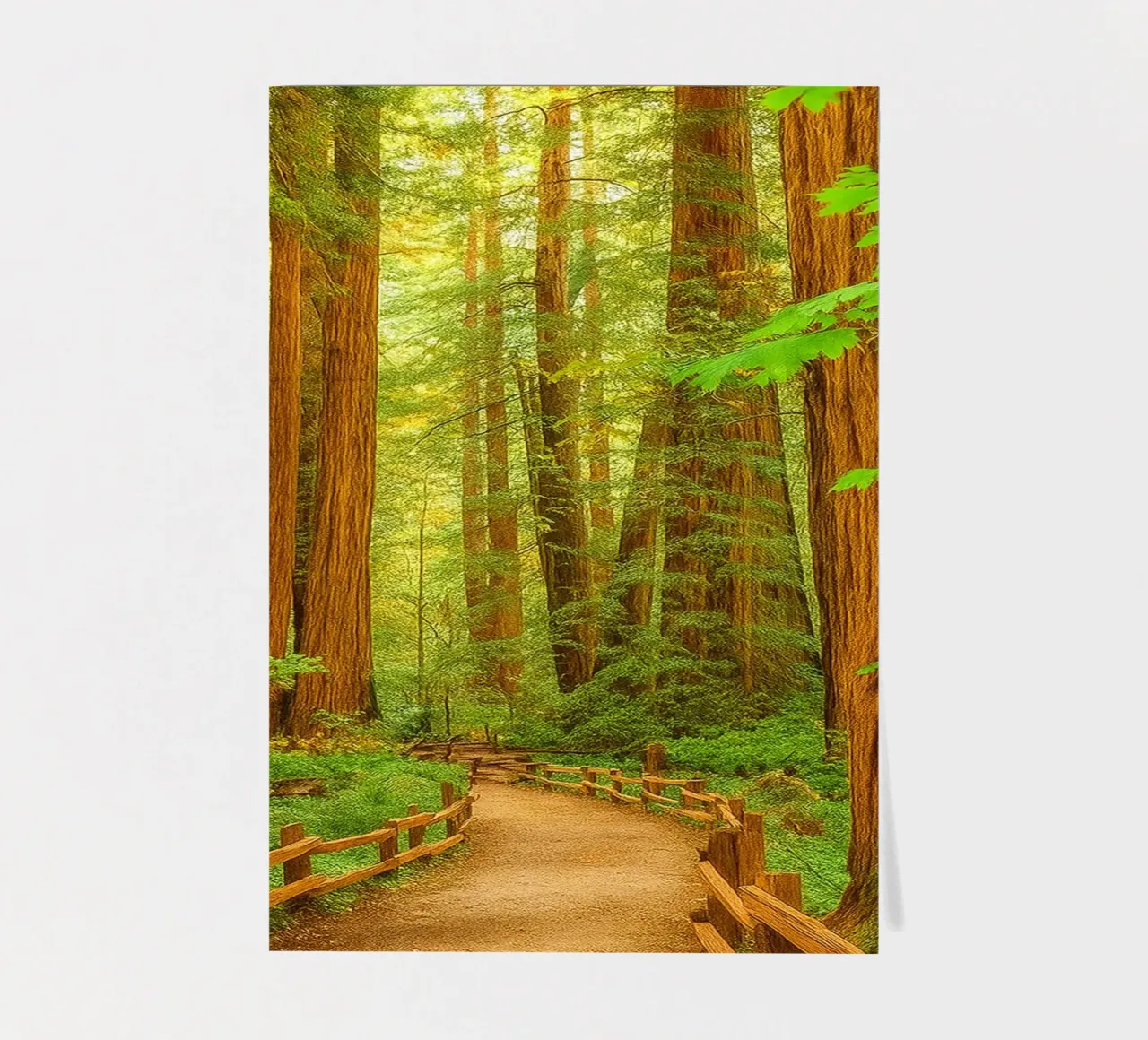 route dans la forêt vue rétro photographie planche autocollant de viantishop