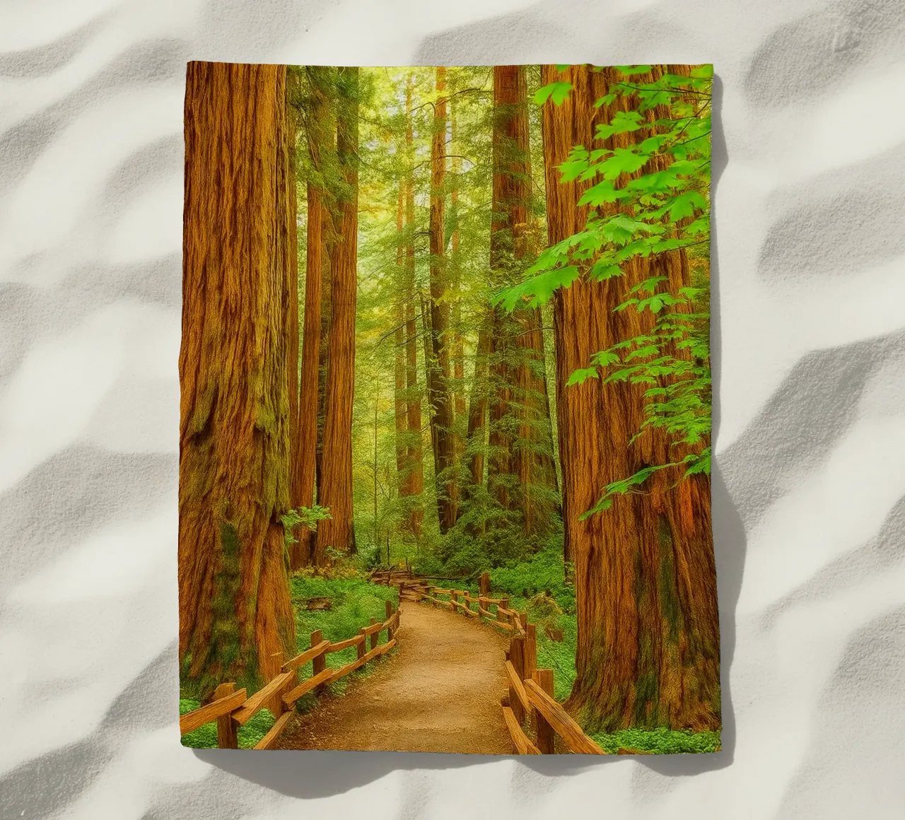 route dans la forêt vue rétro photographie serviette de plage de viantishop