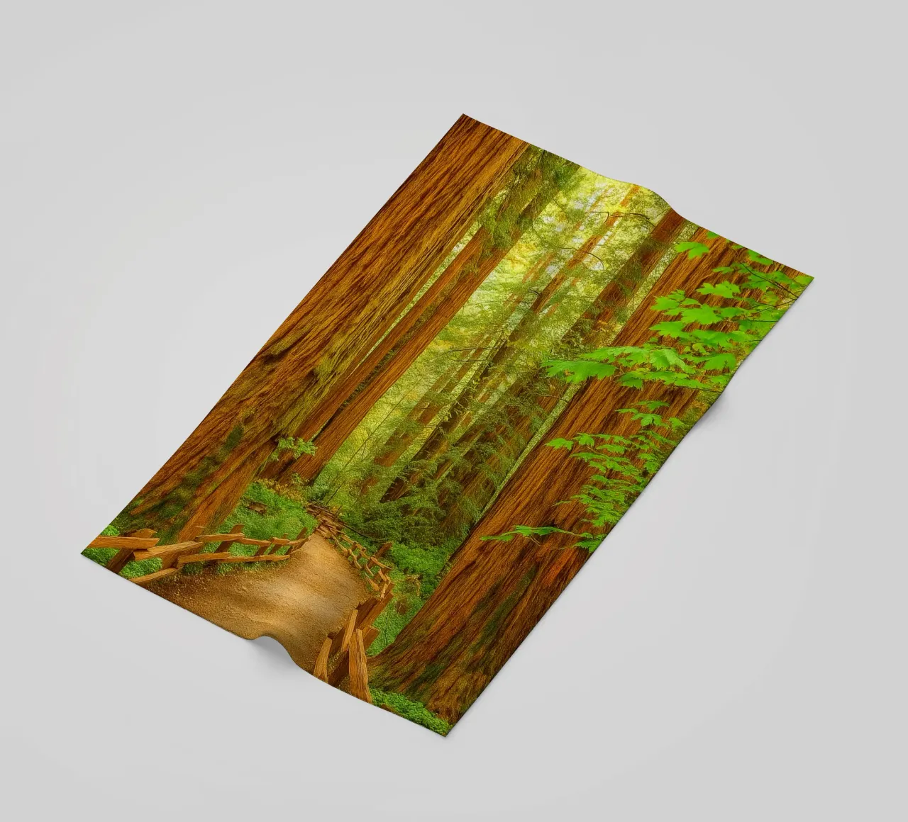 route dans la forêt vue rétro photographie serviette de plage de viantishop