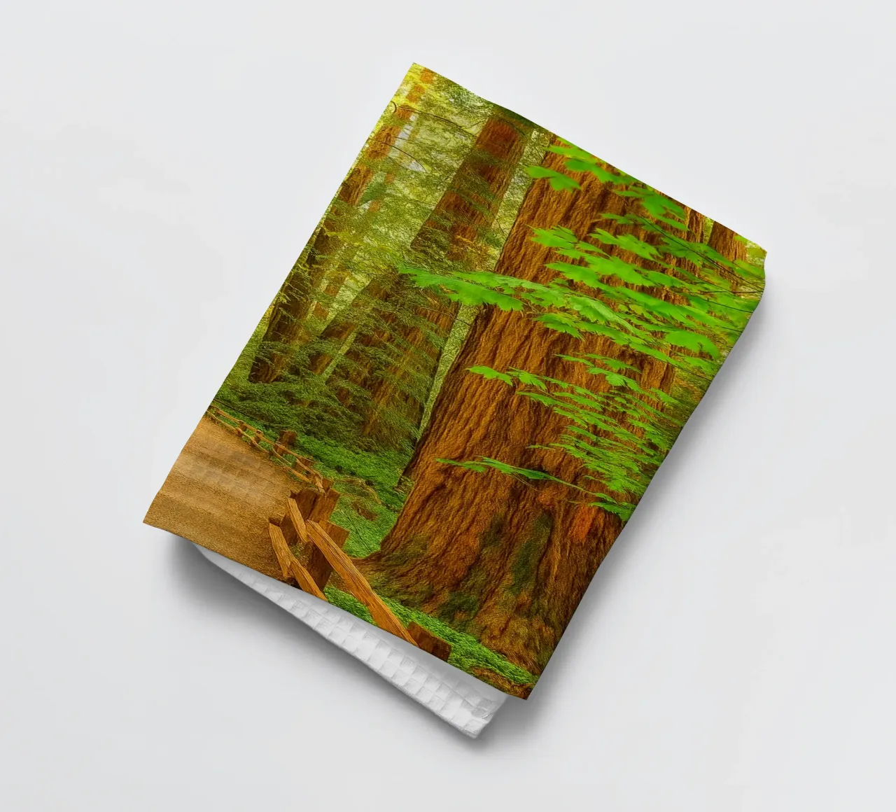 route dans la forêt vue rétro photographie torchon de viantishop