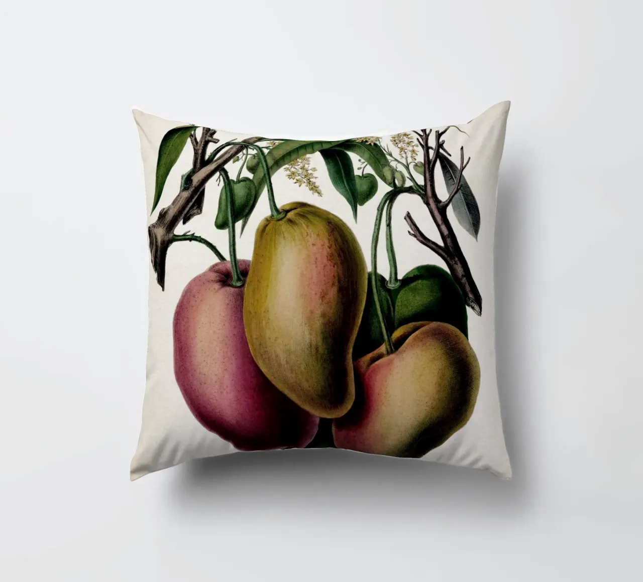 Vintage Denisse 3 Mango cuscino da Vintage Print Collection