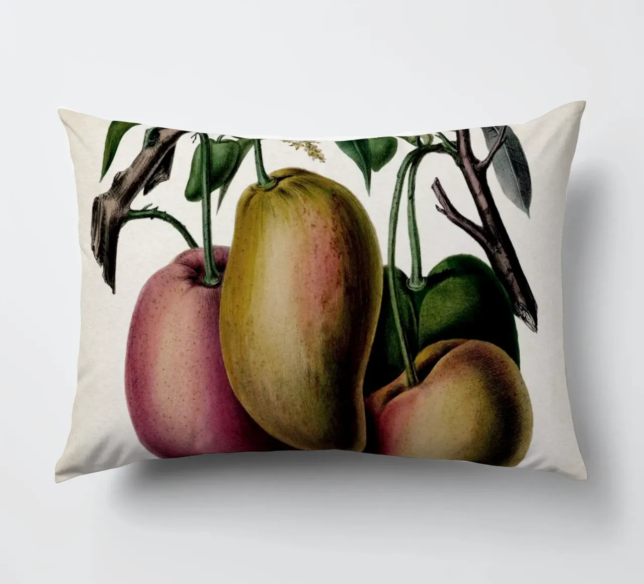 Vintage Denisse 3 Mango cuscino da Vintage Print Collection