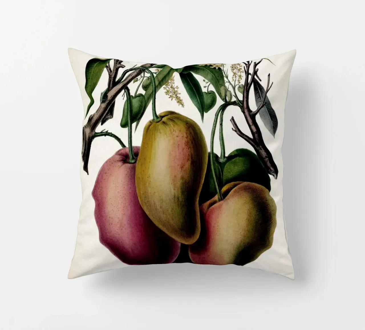 Vintage Denisse 3 Mango cuscino da Vintage Print Collection