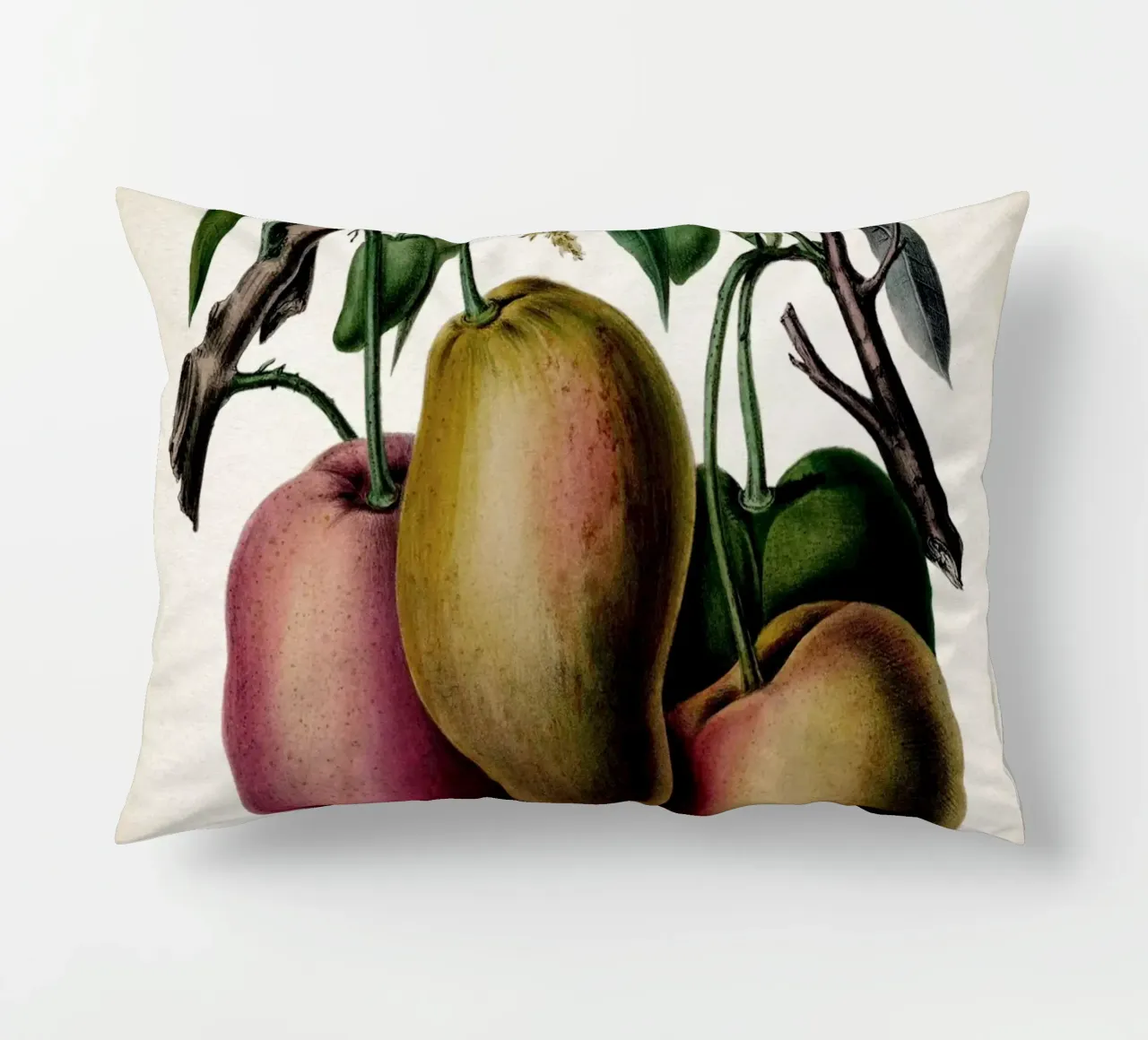 Vintage Denisse 3 Mango cuscino da Vintage Print Collection