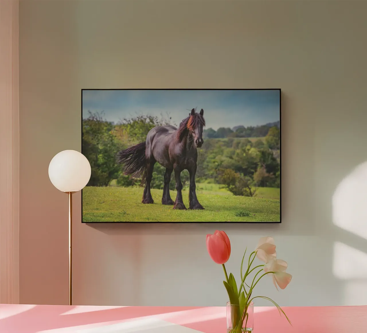 Cavallo nero plexiglass da Dave Hare Photography