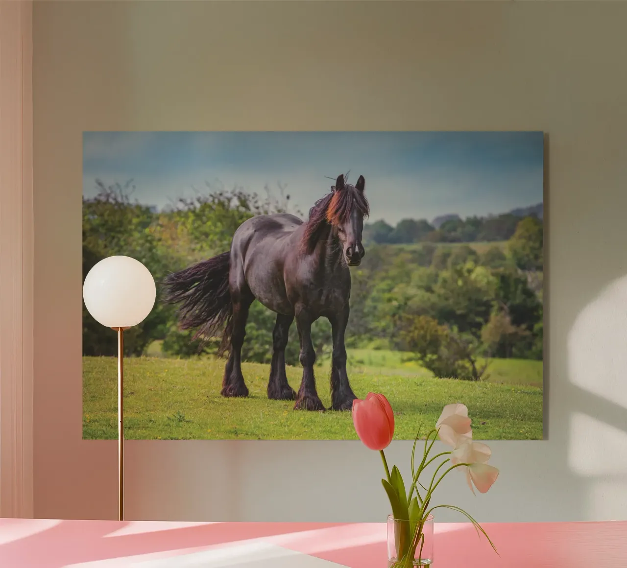 Cavallo nero plexiglass da Dave Hare Photography