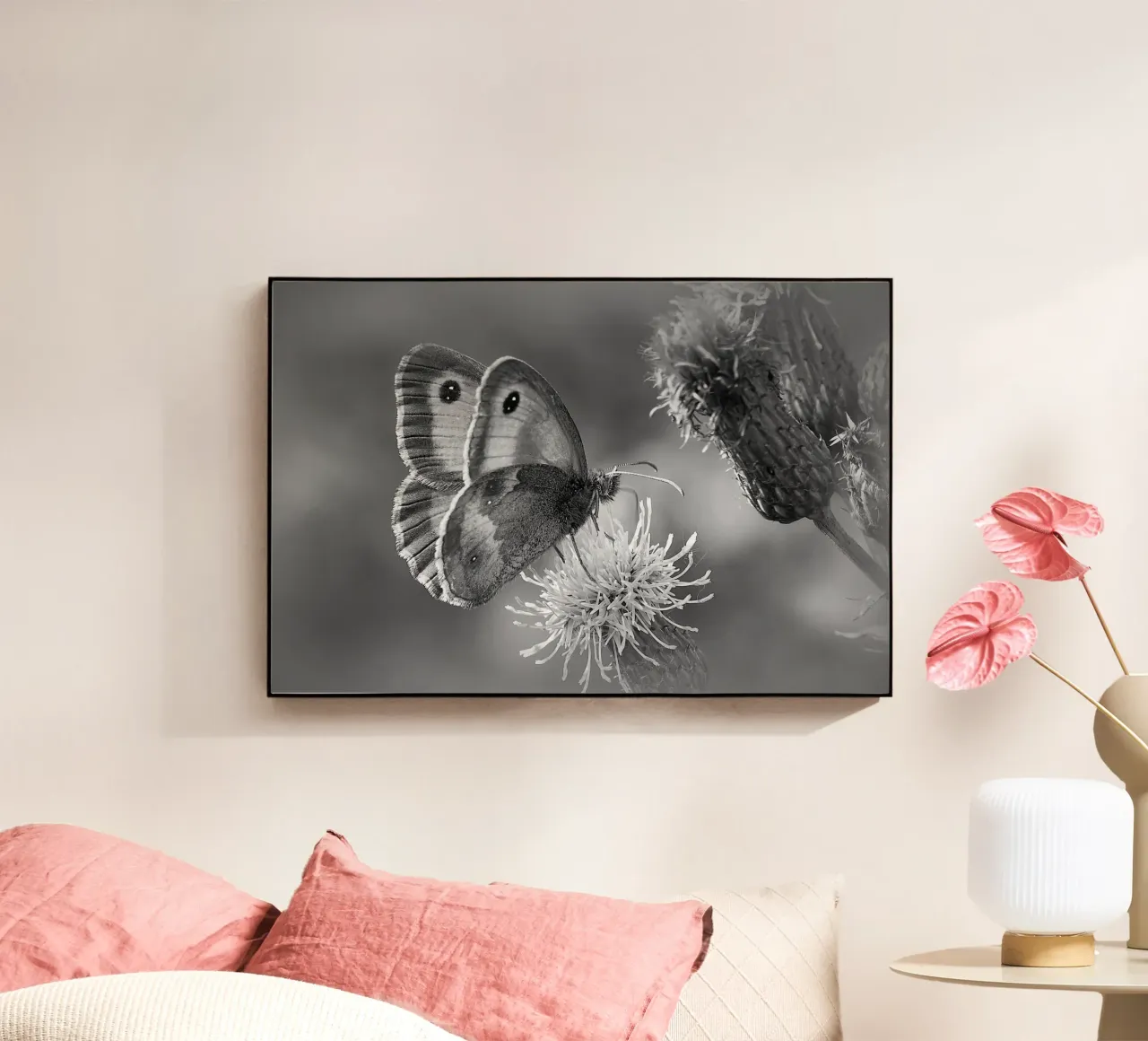 BW85 plexiglass da Thierry vobmann photography