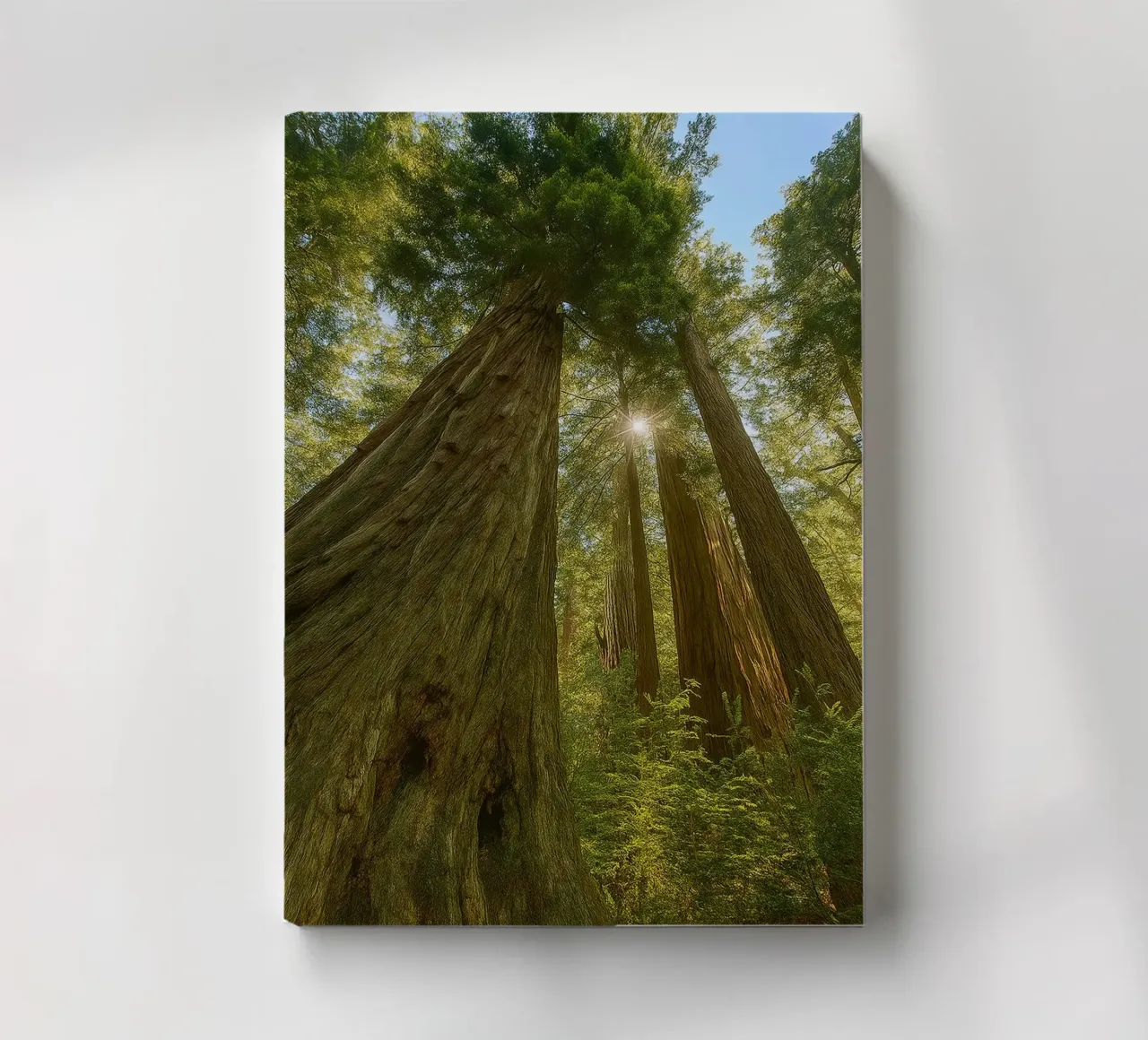 trees in the forrest retro photography notebook by viantishop