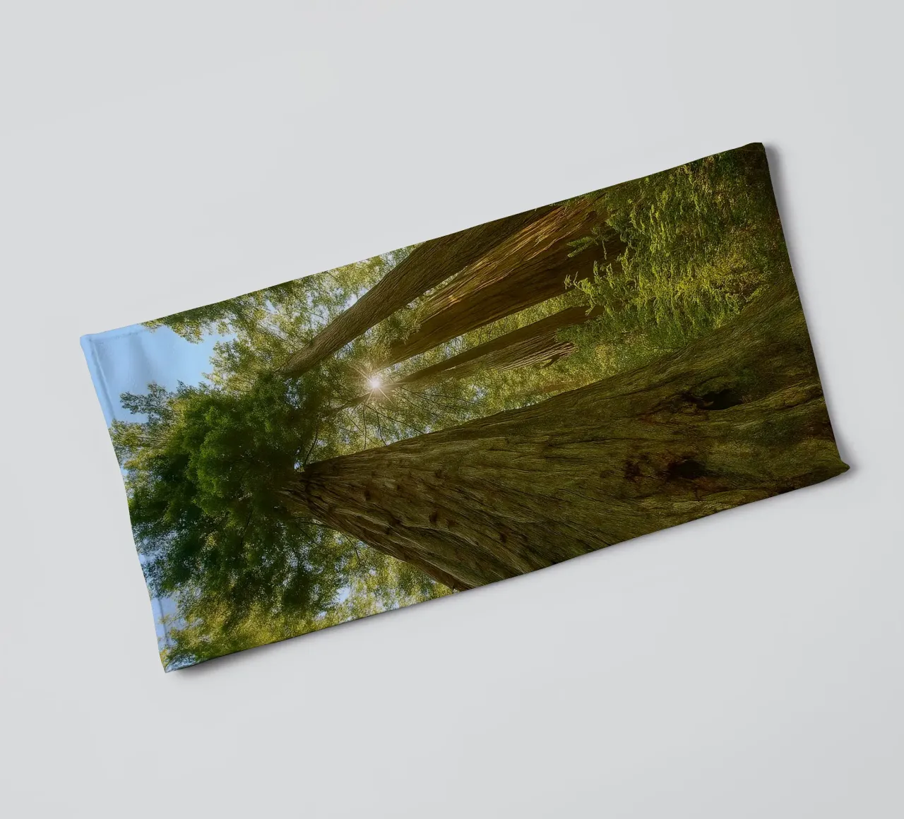trees in the forrest retro photography towel by viantishop