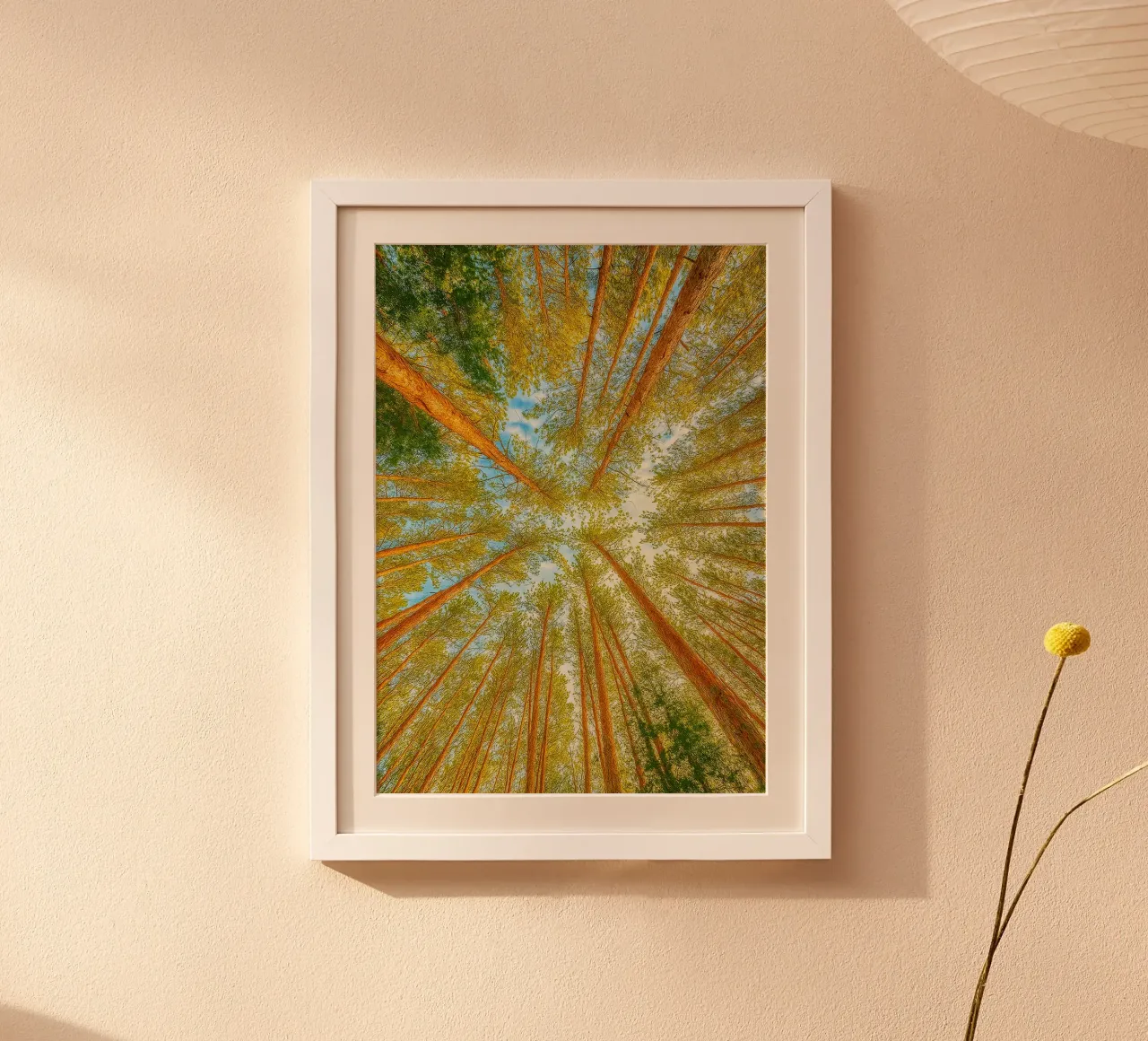 trees tops angle view retro photography poster by viantishop