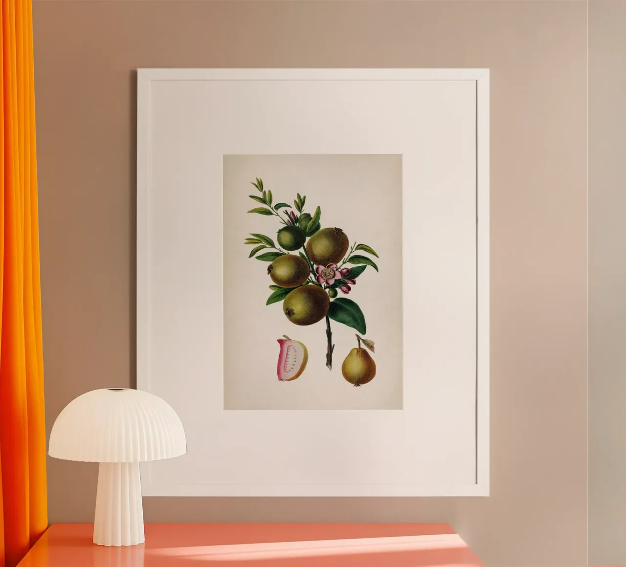 Vintage Denisse 4 Prisidium Pomiferum poster con telaio in legno da Vintage Print Collection