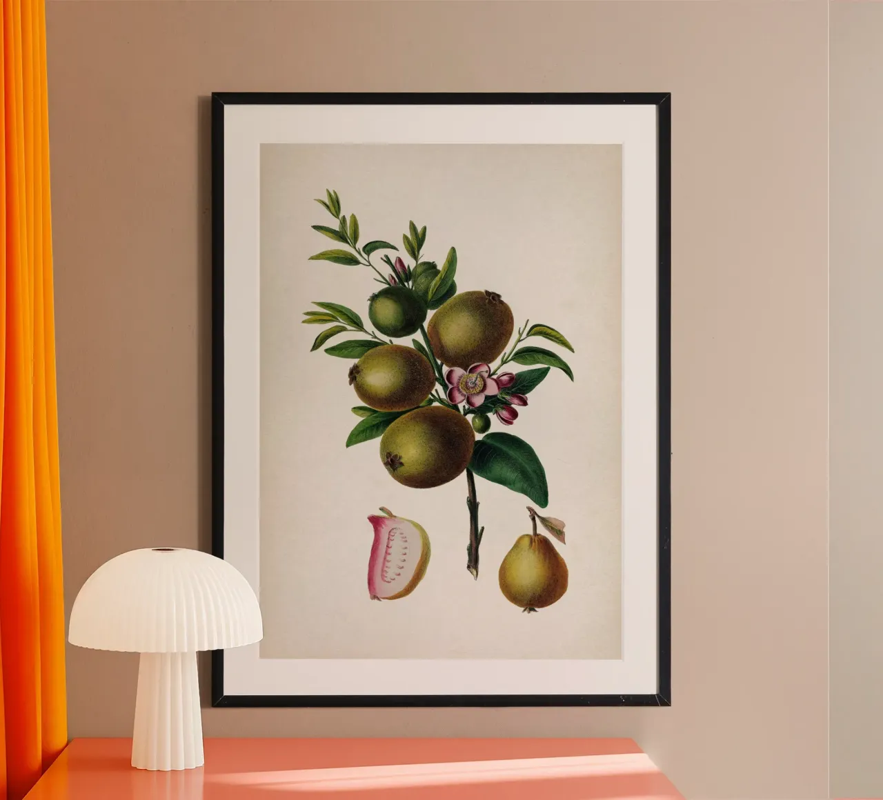 Vintage Denisse 4 Prisidium Pomiferum poster con telaio in legno da Vintage Print Collection