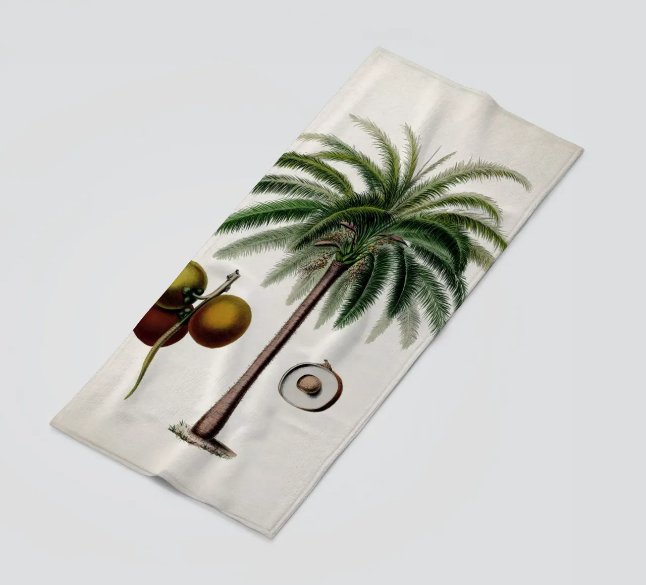 Vintage Denisse 5 Circascirchatis Palma telo mare da Vintage Print Collection