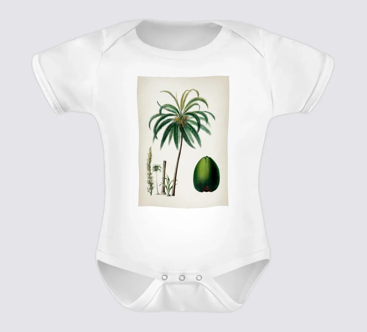 Vintage Denisse 5 Cocos Mucifera body neonato maniche corte da Vintage Print Collection