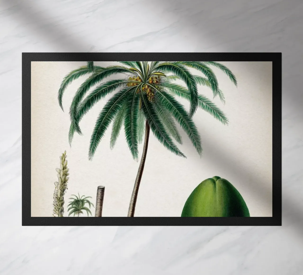 Vintage Denisse 5 Cocos Mucifera zerbino da Vintage Print Collection
