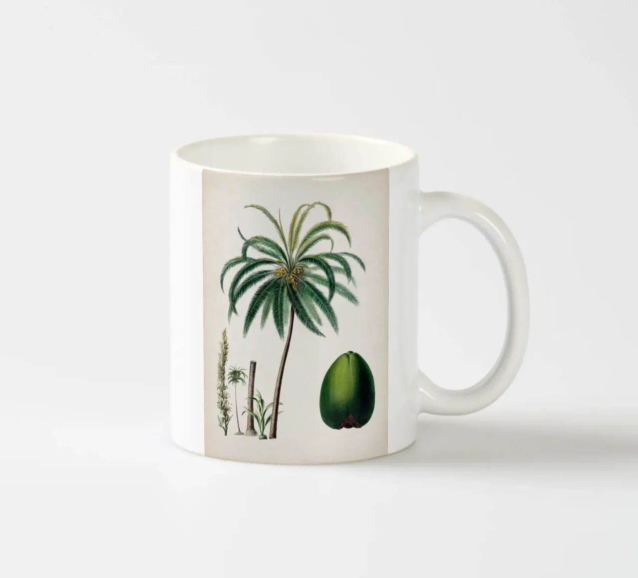 Vintage Denisse 5 Cocos Mucifera tazza in ceramica da Vintage Print Collection
