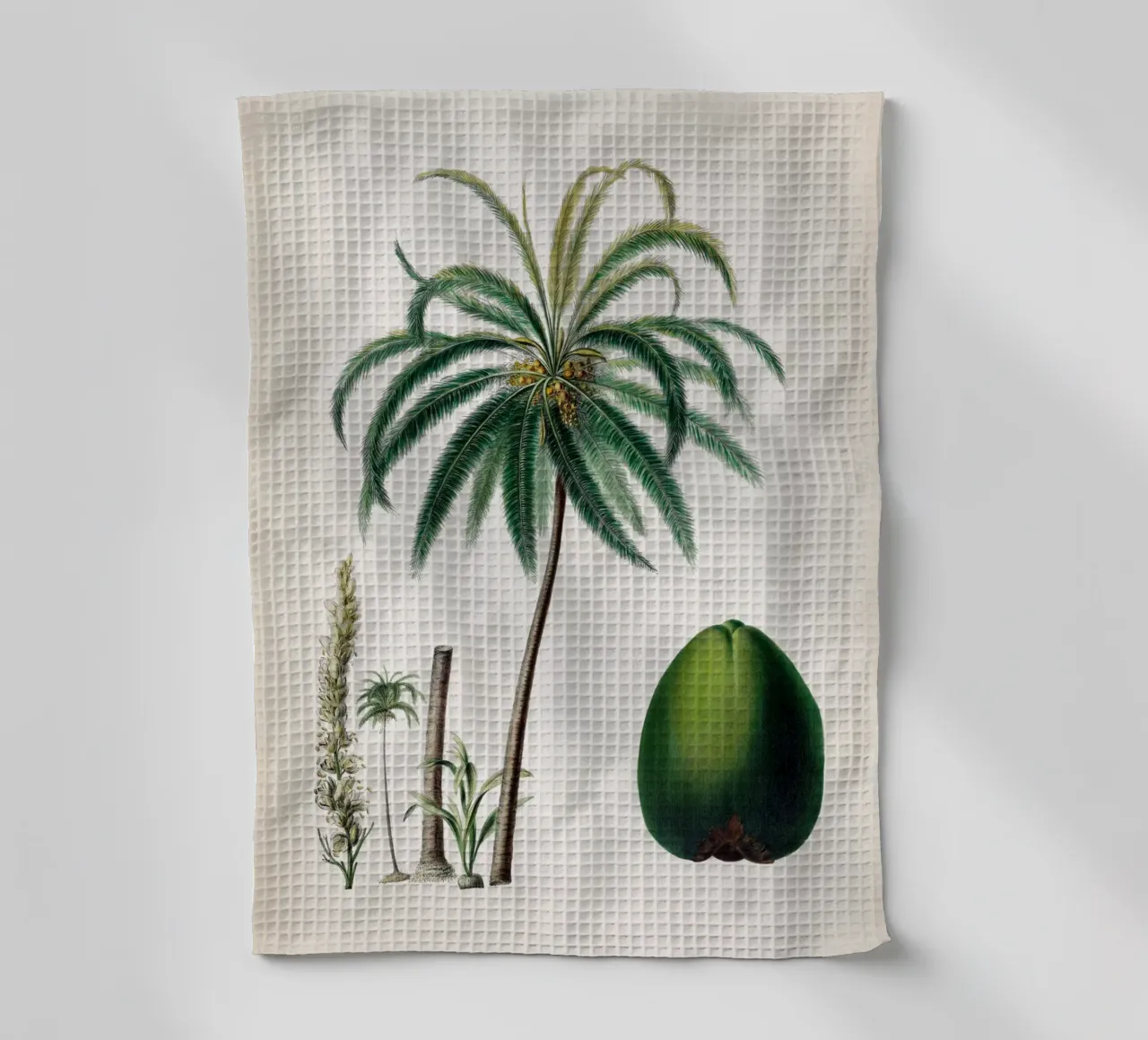 Vintage Denisse 5 Cocos Mucifera canovaccio da cucina da Vintage Print Collection