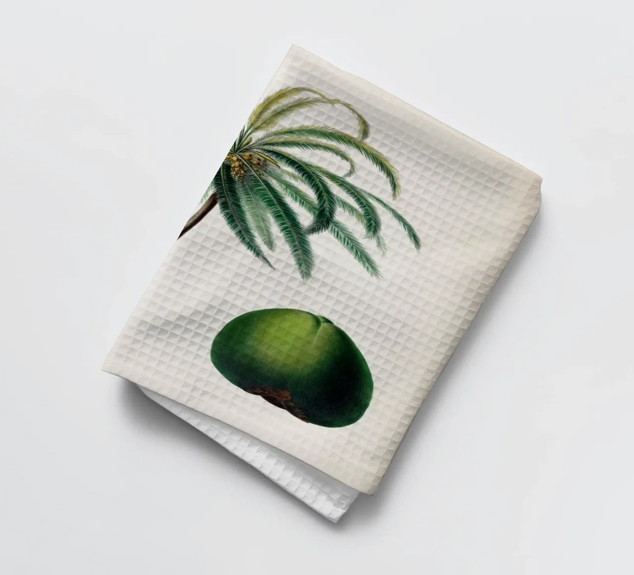 Vintage Denisse 5 Cocos Mucifera canovaccio da cucina da Vintage Print Collection