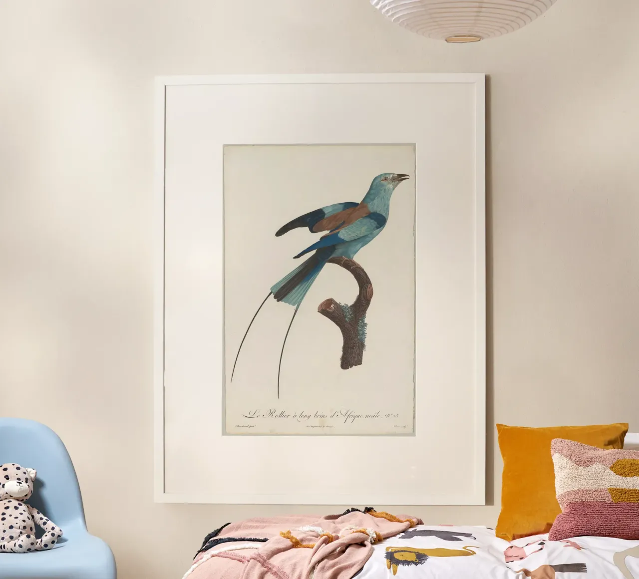 Histoire naturelle des perroquets poster da vintageshop