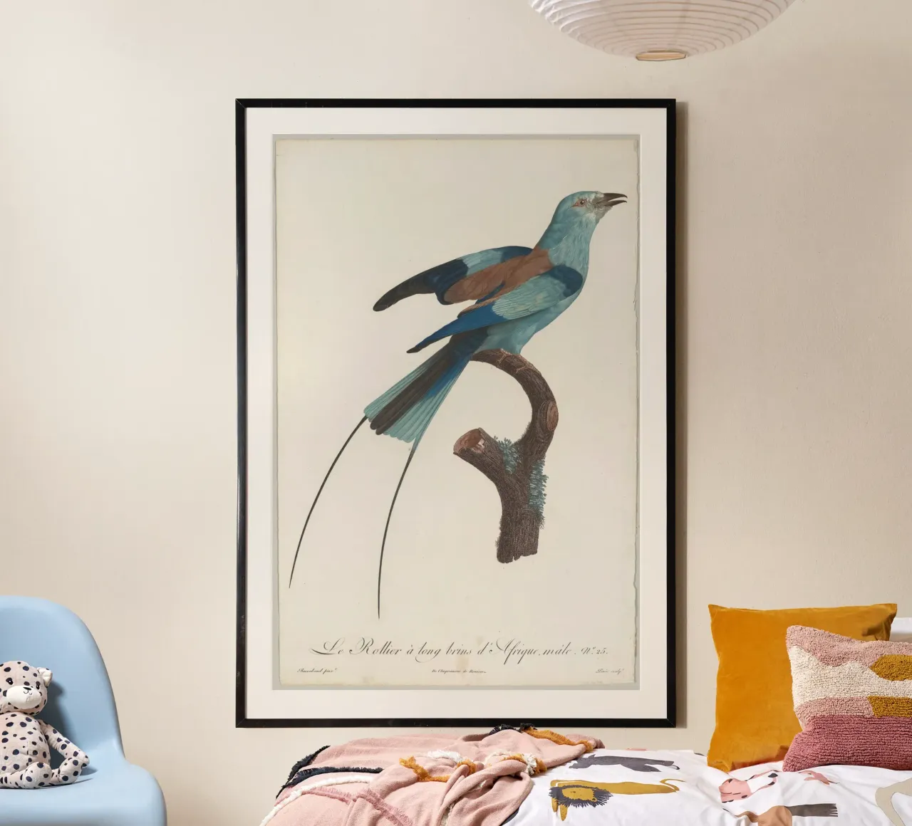 Histoire naturelle des perroquets poster da vintageshop