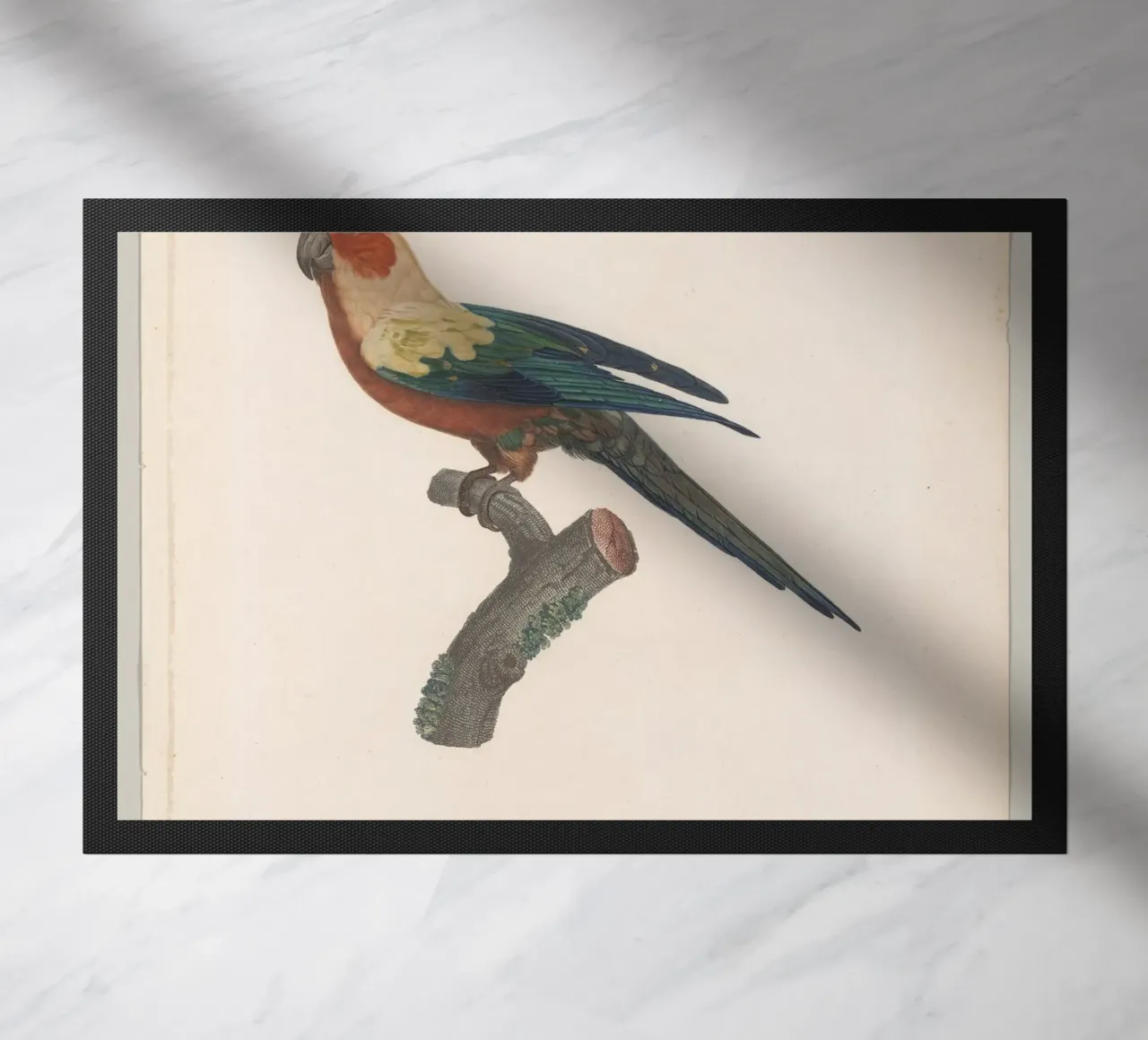 perroquets zerbino da vintageshop