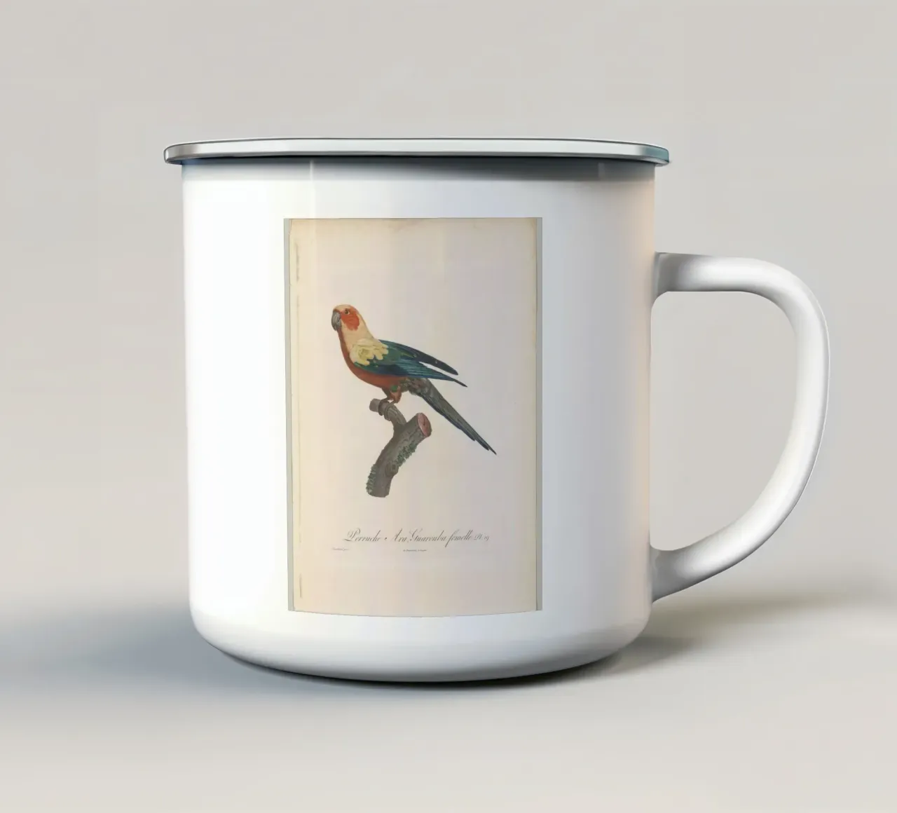 perroquets tazza in smalto da vintageshop