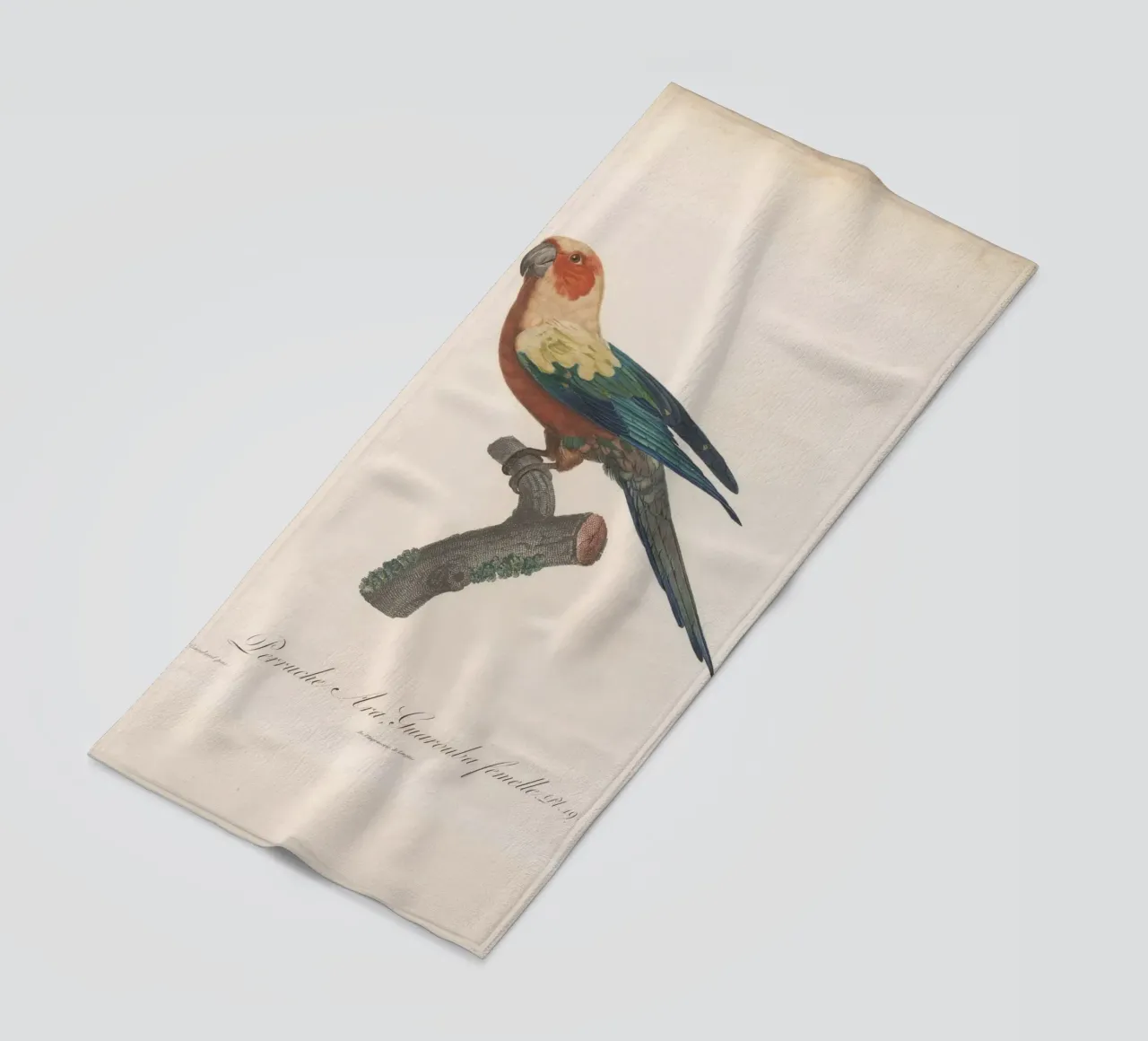 perroquets telo mare da vintageshop