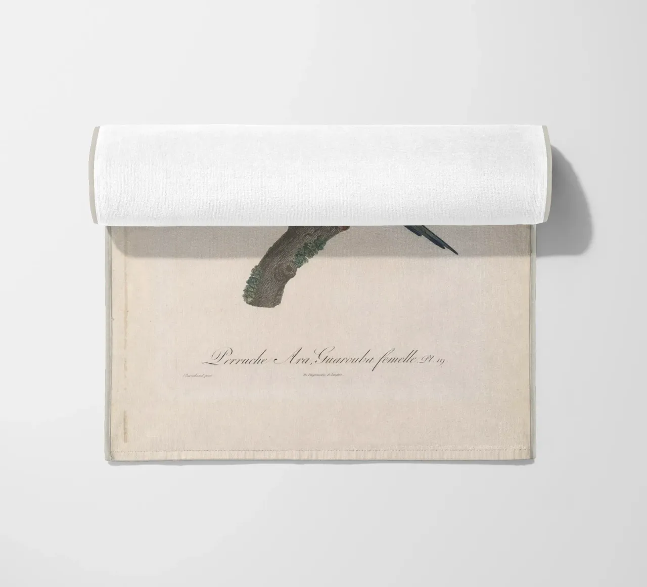 perroquets telo mare da vintageshop